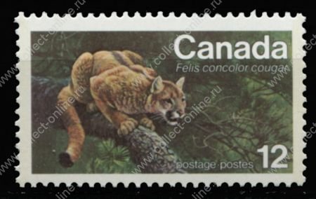 Канада 1977 г. • SC# 732 • 12 c. • Защита дикой природы • рысь • MNH OG XF