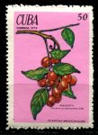 Куба 1970 г. • SC# 1495 • 50 c. • Лекарственные растения • концовка • MNH OG VF ( кат.- $ 4 )
