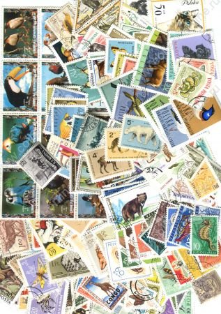Фауна(животные, птицы, рыбы, насекомые ...) • набор 300 разных марок • VF