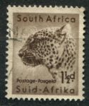Южная Африка 1954 г. • GB# 153 • 1½ d. • Африканская фауна • леопард • Used F-VF