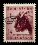 Южная Африка 1954 г. SC# 201(GB# 152) • 1 d. • Африканская фауна • антилопа Гну • Used VF