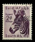 Южная Африка 1954 г. • SC# 203(GB# 154) • 2 d. • Африканская фауна • зебра • Used VF