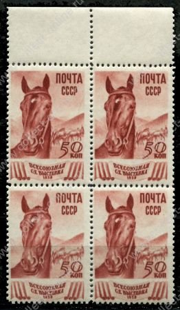 СССР 1939 г. • Сол# 682 • 50 коп. • Всесоюзная сельскохозяйственная выставка • лошадь • кв. блок • MNH OG XF+