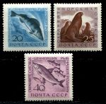 СССР 1960 г. • Сол# 2467-9 • 20 - 40 коп. • Рыбы и морские животные • полн. серия • MNH OG VF