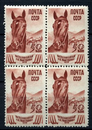 СССР 1939 г. • Сол# 682 • 50 коп. • Всесоюзная сельскохозяйственная выставка • лошадь • кв. блок • MNH OG VF