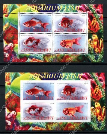 Малави 2010 г. • Mi# • авариумные рыбки • 2 блока (зуб. и б.з.) • MNH OG VF
