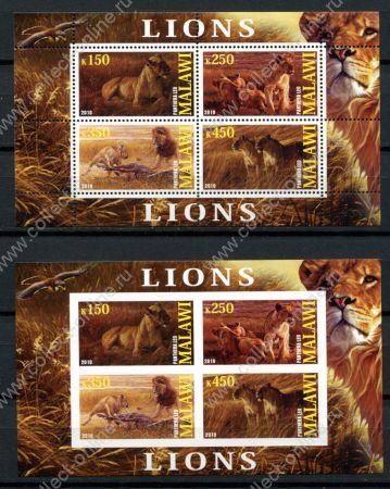 Малави 2010 г. • Mi# • Дикие животные, львы • 2 блока (зуб. и б.з.) • MNH OG VF