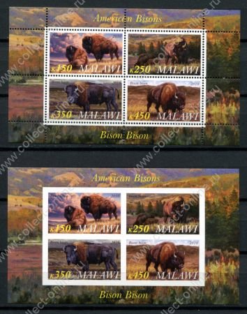 Малави 2010 г. • Mi# • Дикие животные, грызуны • 2 блока (зуб. и б.з.) • MNH OG VF