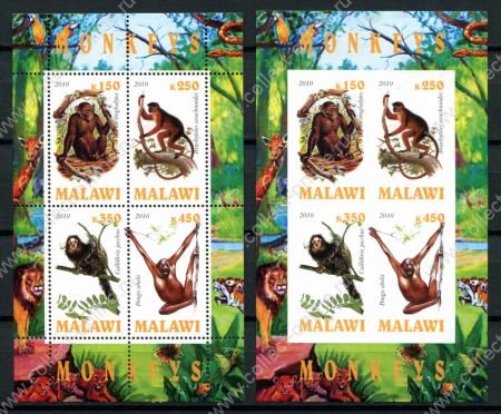 Малави 2010 г. • Mi# • Дикие животные, обезьяны, • 2 блока (зуб. и б.з.) • MNH OG VF