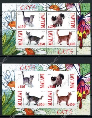 Малави 2010 г. • Mi# • Домашние животные, кошки • 2 блока (зуб. и б.з.) • MNH OG VF