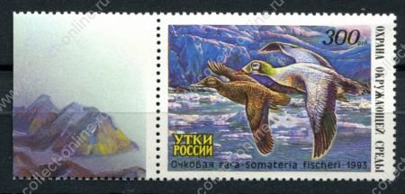 Россия • Общество охраны природы • Утки 1993 г. • 300 руб. • очковая гага • MNH OG XF+