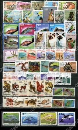 Фауна(животные, птицы, рыбы ...) • набор 60+ разных иностранных марок • Used(ФГ) VF