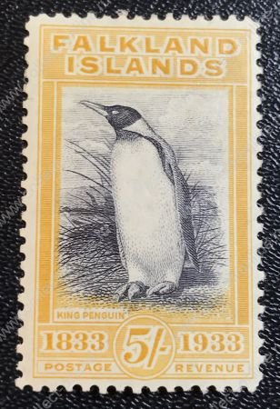 Фолклендские о-ва 1933 г. • Gb# 136 • 5 sh. • 100-летие Британской администрации • королевский пингвин • MH OG VF+ ( кат.- £1000 )