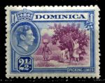 Доминика 1938-1947 гг. • Gb# 103 • 2½ d. • Георг VI • основной выпуск • сбор лимонов • MH OG VF ( кат.- £ 6,5 )
