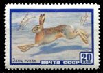 СССР 1960 г. • Сол# 2403 • 20 коп. • Фауна • заяц-русак • MLH OG VF