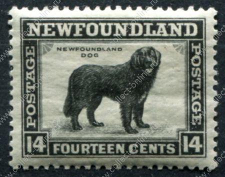 Ньюфаундленд 1932 г. • Gb# 216 • 14 c. • основной выпуск • собака ньюфаундленд • MH OG VF ( кат.- £ 5.5 )