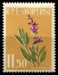 Албания 1962 г. • Mi# 656 • 11.50 L. • Полевые цветы • концовка серии • MNH OG XF ( кат.- € 3,5 )