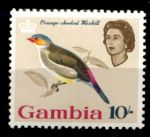 Гамбия 1963 г. • Gb# 204 • 10 sh. • Елизавета II • осн. выпуск • птицы • MNH OG VF ( кат. - £15 )