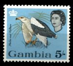 Гамбия 1963 г. • Gb# 203 • 5 sh. • Елизавета II • осн. выпуск • птицы • MNH OG VF ( кат. - £10 )