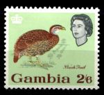 Гамбия 1963 г. • Gb# 202 • 2s.6d. • Елизавета II • осн. выпуск • птицы • MNH OG VF ( кат. - £10 )