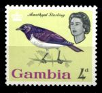 Гамбия 1963 г. • Gb# 198 • 4 d. • Елизавета II • осн. выпуск • птицы • MNH OG VF ( кат. - £3 )