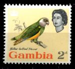 Гамбия 1963 г. • Gb# 196 • 2 d. • Елизавета II • осн. выпуск • птицы • MNH OG VF ( кат. - £3 )