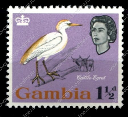 Гамбия 1963 г. • Gb# 195 • 1½ d. • Елизавета II • осн. выпуск • птицы • MNH OG VF ( кат. - £3 )