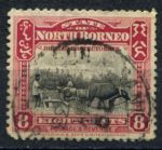 Северное Борнео 1909-1923 гг. • Gb# 169 • 8 c. • осн. выпуск • водяные буйволы • Used VF