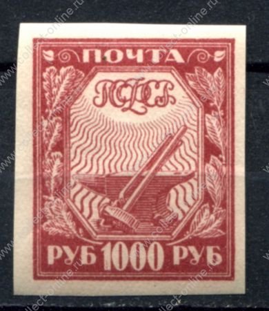 РСФСР 1921 г. • Сол# 13В • 1000 руб. • Символы нового государства • красная (хлопк. бумага) • MH OG VF