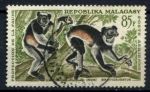 Мадагаскар 1961 г. • Mi# 471 • 85 fr. • Фауна Африки, лемуры • авиапочта • Used VF
