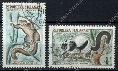 Мадагаскар 1961 г. • Mi# 467-468 • 2 и 4 fr. • Фауна Африки, лемуры • Used VF