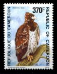 Камерун 1993 г. • Mi# 1202 • 370 fr. • Исчезающие виды фауны • орел • MNH OG VF