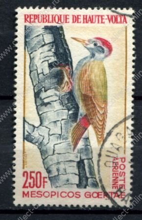 Буркина Фасо 1964 г. • Sc# C18 • 100 fr. • Птицы (дятел) • авиапочта • Used VF