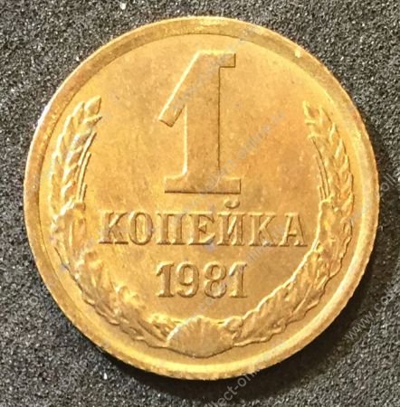 СССР 1981 г. KM# 126a • 1 копейка • герб СССР • регулярный выпуск • XF -AU