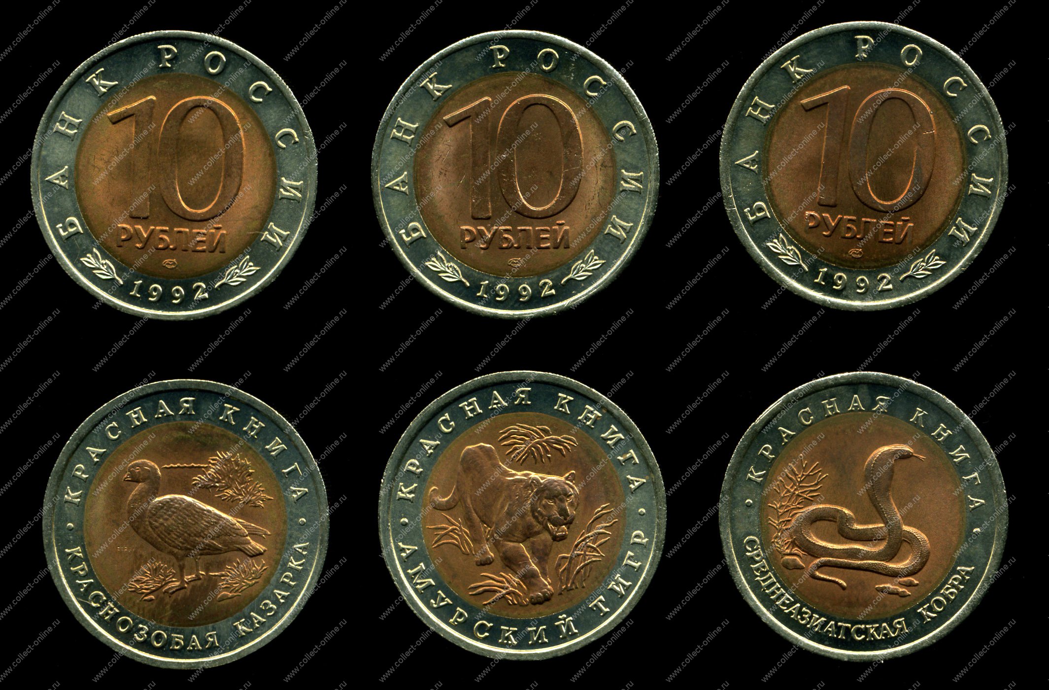 Сайт коллекционеров монет