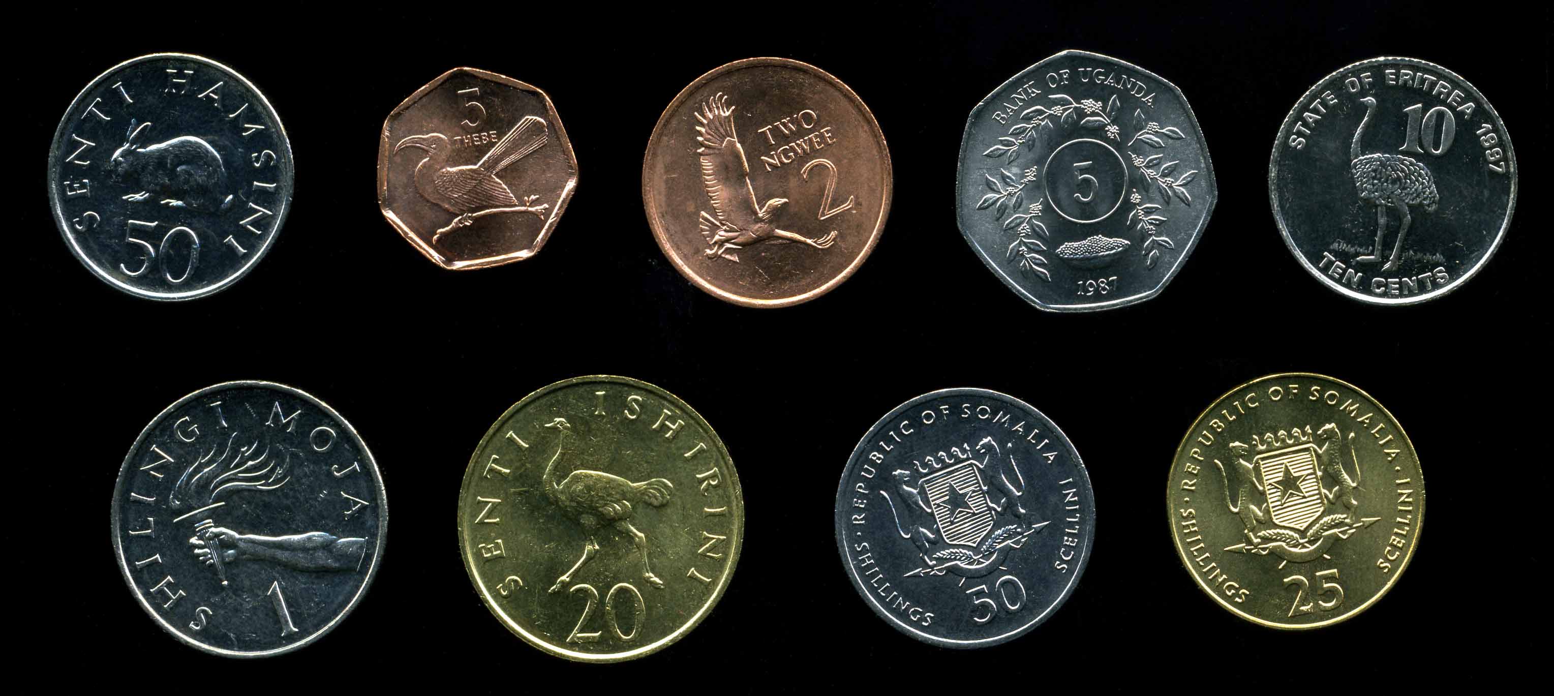 Редкие африканские монеты. 10 центов танзания. Коллекции монет африки. Современные монеты южная африка. Коллекции монет африки.