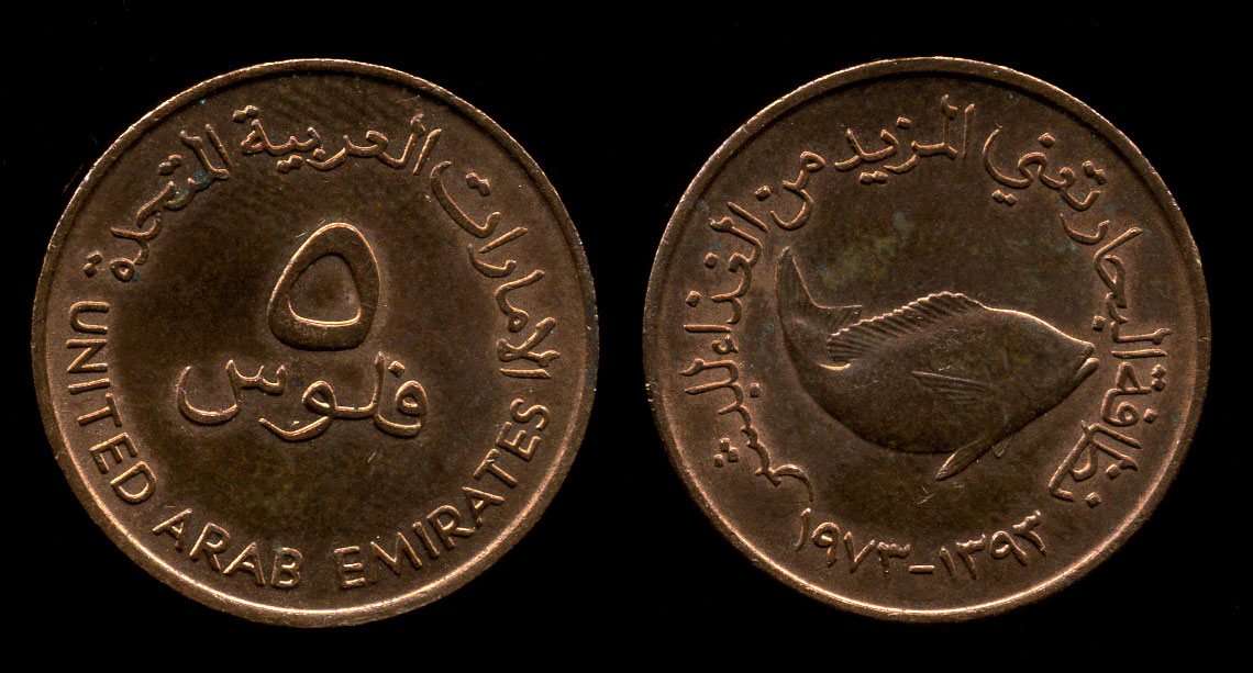 11 дирхам. 25 Филсов 1973-2011 ОАЭ. ОАЭ 1 филс 1973-2005. 5 Филсов ОАЭ. Иракские монеты 50 филс.