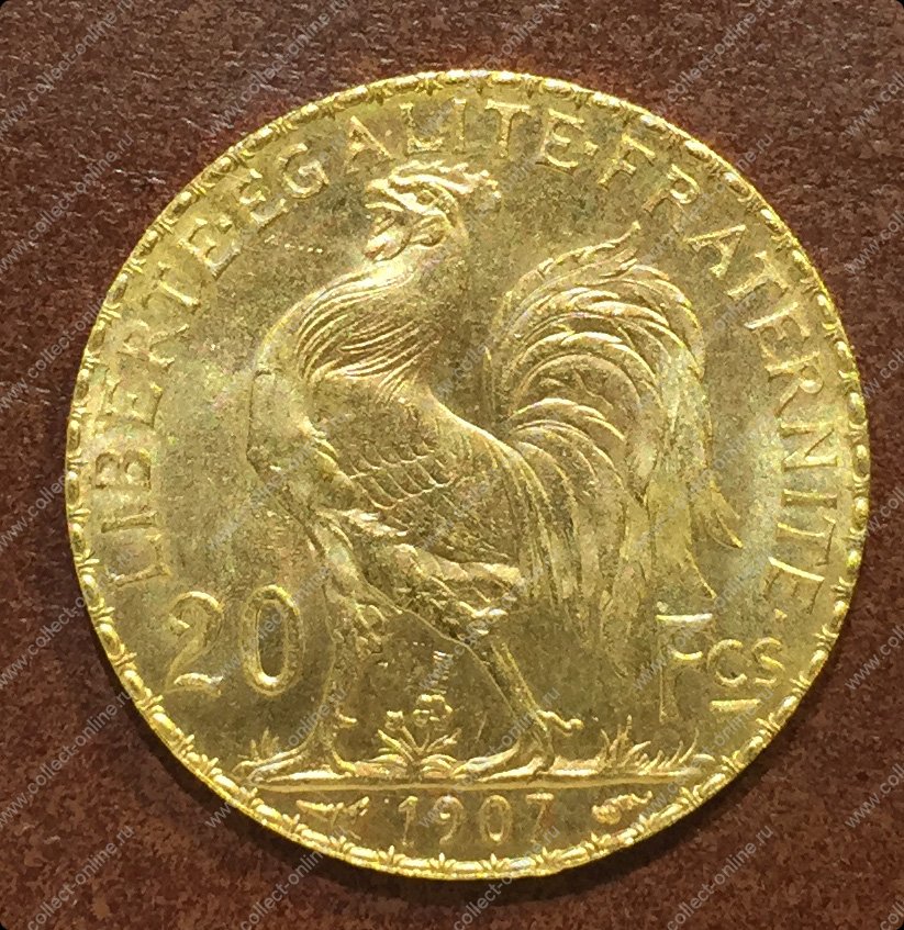 Gold 6 20. Золотые монеты Польши. (Золотая монета Франции)1894. Старинные монеты Польши. 20 Франков 1907 Франция.
