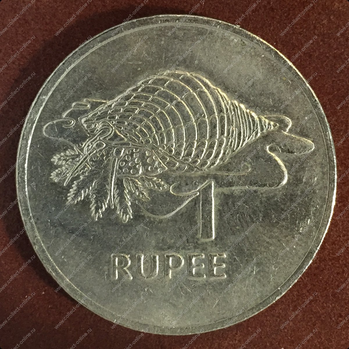 Курс сейшелы. Сейшельская рупия. 50 Центов и 50 рупий. Рупии рыбы. Сейшелы валюта.