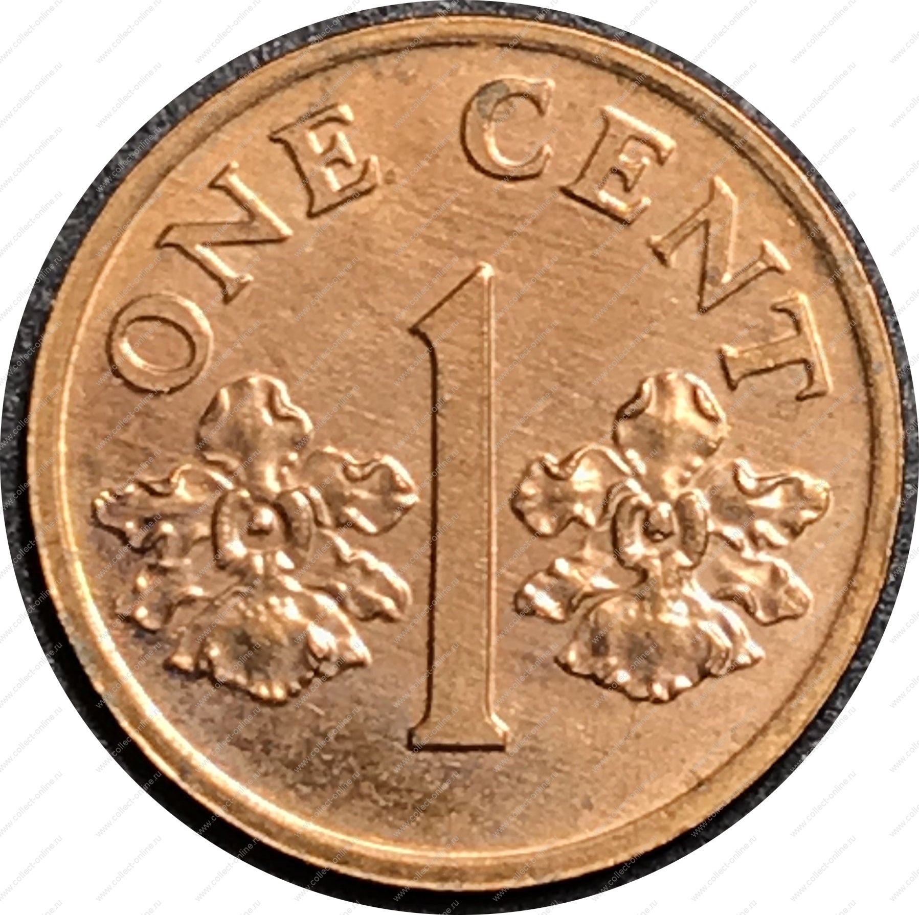 First coins. Монета 1 цент. 1cent Америка. Монета 1 Centas 1991. Сингапур 1 цент 1992 год.