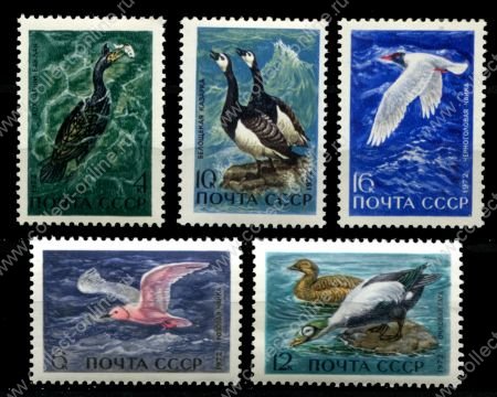СССР 1972 г. • Сол# 4092-4096 • 4 - 16 коп. • Фауна • водоплавающие птицы • полн. серия • MNH OG VF