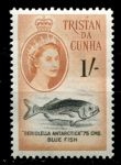 Тристан да Кунья 1960 г. • Gb# 38 • 1 sh. • Елизавета II • осн. выпуск • голубая рыба-медуза • MNH OG VF