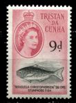 Тристан да Кунья 1960 г. • Gb# 37 • 9 d. • Елизавета II • осн. выпуск • рыба-медуза • MNH OG VF