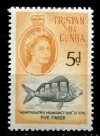 Тристан да Кунья 1960 г. • Gb# 35 • 5 d. • Елизавета II • осн. выпуск • пятипалый окунь • MNH OG VF