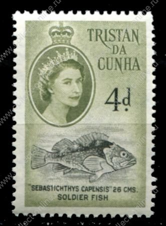 Тристан да Кунья 1960 г. • Gb# 34 • 4 d. • Елизавета II • осн. выпуск • рыба солдат • MNH OG VF