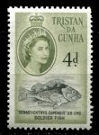 Тристан да Кунья 1960 г. • Gb# 34 • 4 d. • Елизавета II • осн. выпуск • рыба солдат • MNH OG VF
