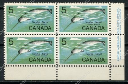 Канада 1968 г. • Sc# 480 • 5 c. • Обитатели морей • нарвал • кв. блок • MNH OG XF+
