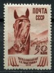 СССР 1939 г. • Сол# 682 • 50 коп. • Всесоюзная сельскохозяйственная выставка • лошадь • MH OG F-VF
