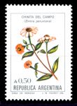 Аргентина 1985-1988 г. • SC# 1523 • 50 c. • Цветущие растения • стандарт • MNH OG VF ( кат. - $1.1 )