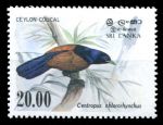 Шри-Ланка 1983 г. • SC# 694 • 20 Rp. • Дикие птицы • Цейлонская кукушка • концовка серии • MNH OG XF ( кат.- $3.75 )
